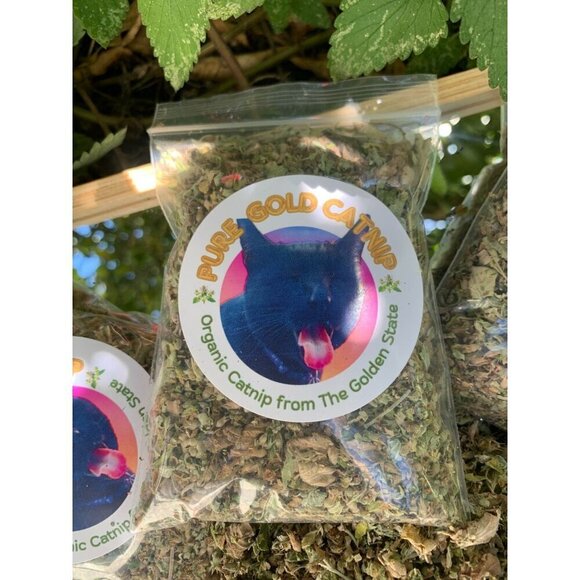 PURE GOLD Catnip Organically Grown & Harvested Pure Californian Catnip 4"x 3" - Picture 8 of 16